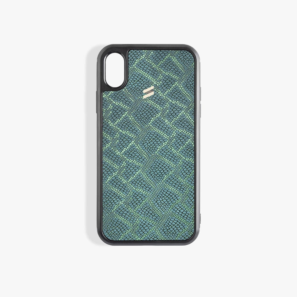 iPhone Xs Max Case Paris Green